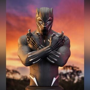 Black Panther Deluxe size 8 years old